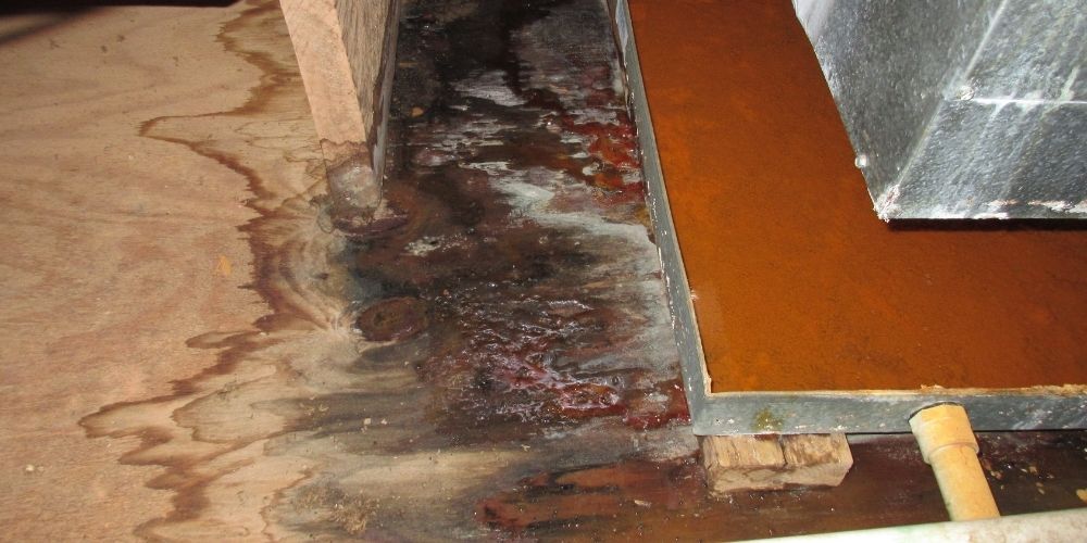 Wann eine technische Trocknung wichtig ist