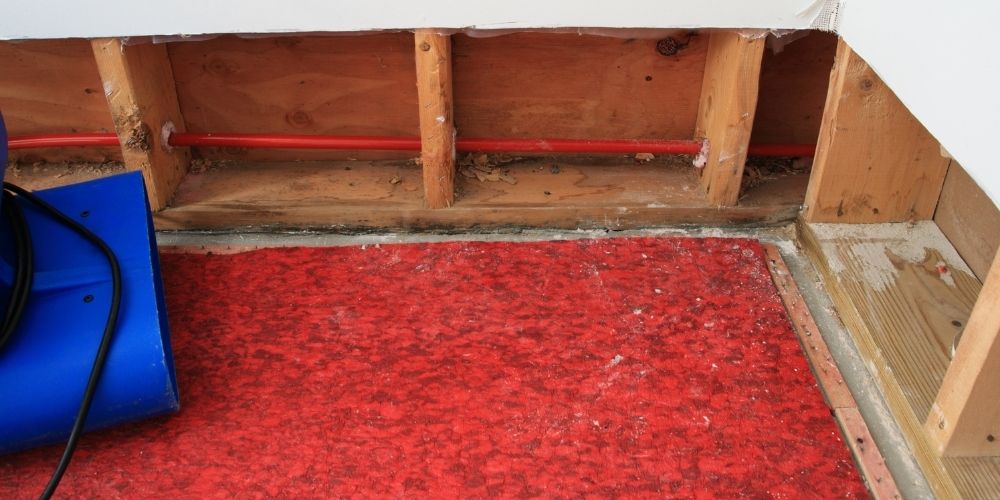 Warum eine fachgerechte Trocknung so wichtig ist