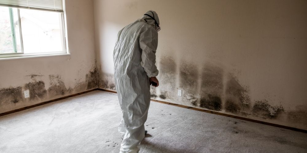 Schimmelsanierung_Startseite Bautrockner zur professionellen Trocknung bei Wasserschäden und Sanierungen